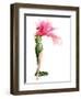 Flower-José Luis Villar-Framed Premium Photographic Print