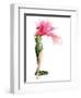 Flower-José Luis Villar-Framed Premium Photographic Print