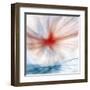 Flower-Ursula Abresch-Framed Premium Photographic Print