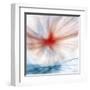 Flower-Ursula Abresch-Framed Premium Photographic Print