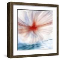 Flower-Ursula Abresch-Framed Premium Photographic Print