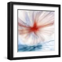 Flower-Ursula Abresch-Framed Premium Photographic Print