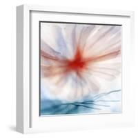 Flower-Ursula Abresch-Framed Premium Photographic Print