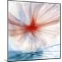 Flower-Ursula Abresch-Mounted Premium Photographic Print