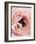 Flower-Design Fabrikken-Framed Photographic Print