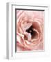 Flower-Design Fabrikken-Framed Photographic Print