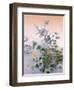 Flower-Haruyo Morita-Framed Art Print