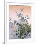 Flower-Haruyo Morita-Framed Art Print