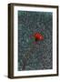 Flower-Andre Burian-Framed Giclee Print