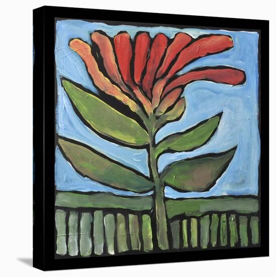 Flower-Tim Nyberg-Stretched Canvas