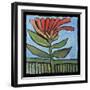 Flower-Tim Nyberg-Framed Premium Giclee Print