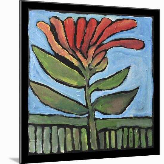 Flower-Tim Nyberg-Mounted Giclee Print