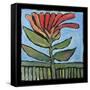 Flower-Tim Nyberg-Framed Stretched Canvas