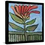 Flower-Tim Nyberg-Stretched Canvas