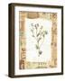 Flower-Hope Street Designs-Framed Giclee Print