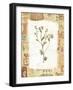 Flower-Hope Street Designs-Framed Giclee Print