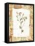 Flower-Hope Street Designs-Framed Stretched Canvas