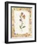 Flower-Hope Street Designs-Framed Giclee Print