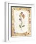 Flower-Hope Street Designs-Framed Giclee Print