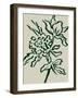 Flower-Dan Hobday-Framed Photographic Print