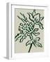 Flower-Dan Hobday-Framed Photographic Print