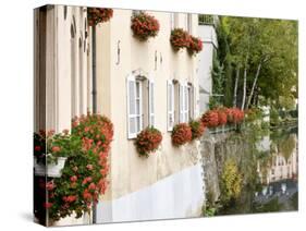 Flowerbox, Luxembourg City, Luxembourg-William Sutton-Stretched Canvas