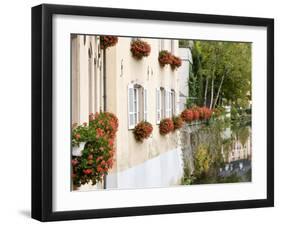 Flowerbox, Luxembourg City, Luxembourg-William Sutton-Framed Photographic Print