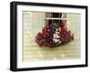 Flowerbox-Zhen-Huan Lu-Framed Giclee Print