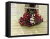 Flowerbox-Zhen-Huan Lu-Framed Stretched Canvas