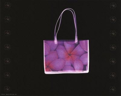 https://imgc.allpostersimages.com/img/posters/flowered-purse_u-L-ENVUM0.jpg?artPerspective=n