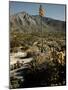 Flowering Agave Plant Sprouting During the Spring in the Sonoran Desert-Andreas Feininger-Mounted Photographic Print