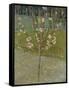 Flowering almond tree. Arles, 1888-Vincent van Gogh-Framed Stretched Canvas