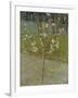 Flowering almond tree. Arles, 1888-Vincent van Gogh-Framed Giclee Print