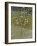 Flowering almond tree. Arles, 1888-Vincent van Gogh-Framed Giclee Print