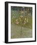 Flowering almond tree. Arles, 1888-Vincent van Gogh-Framed Giclee Print