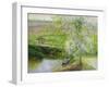 Flowering Apple Tree and Willow, 1991-Timothy Easton-Framed Giclee Print