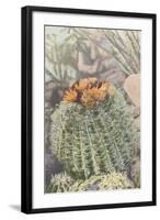 Flowering Barrel Cactus-null-Framed Art Print