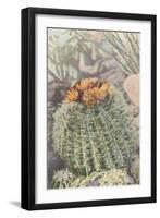 Flowering Barrel Cactus-null-Framed Art Print