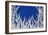 Flowering Blackthorn 3, 2006-Richard Pomeroy-Framed Giclee Print