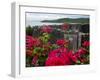 Flowering Bougainvillea & Ruins, Chateau Dubuc, Martinique, French Antilles, West Indies-Scott T. Smith-Framed Photographic Print