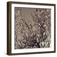 Flowering Branches 5756-Rica Belna-Framed Giclee Print