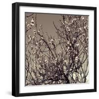 Flowering Branches 5756-Rica Belna-Framed Giclee Print