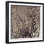 Flowering Branches 5756-Rica Belna-Framed Giclee Print