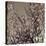 Flowering Branches 5756-Rica Belna-Stretched Canvas