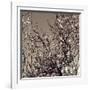 Flowering Branches 5756-Rica Belna-Framed Giclee Print