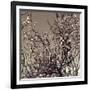 Flowering Branches 5756-Rica Belna-Framed Giclee Print