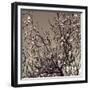 Flowering Branches 5756-Rica Belna-Framed Giclee Print