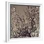 Flowering Branches 5756-Rica Belna-Framed Giclee Print