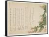 Flowering Bush Clover-Yano Yach?-Framed Stretched Canvas