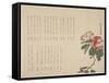 Flowering Camellia, C.1818-1829-Hyakuj?-Framed Stretched Canvas